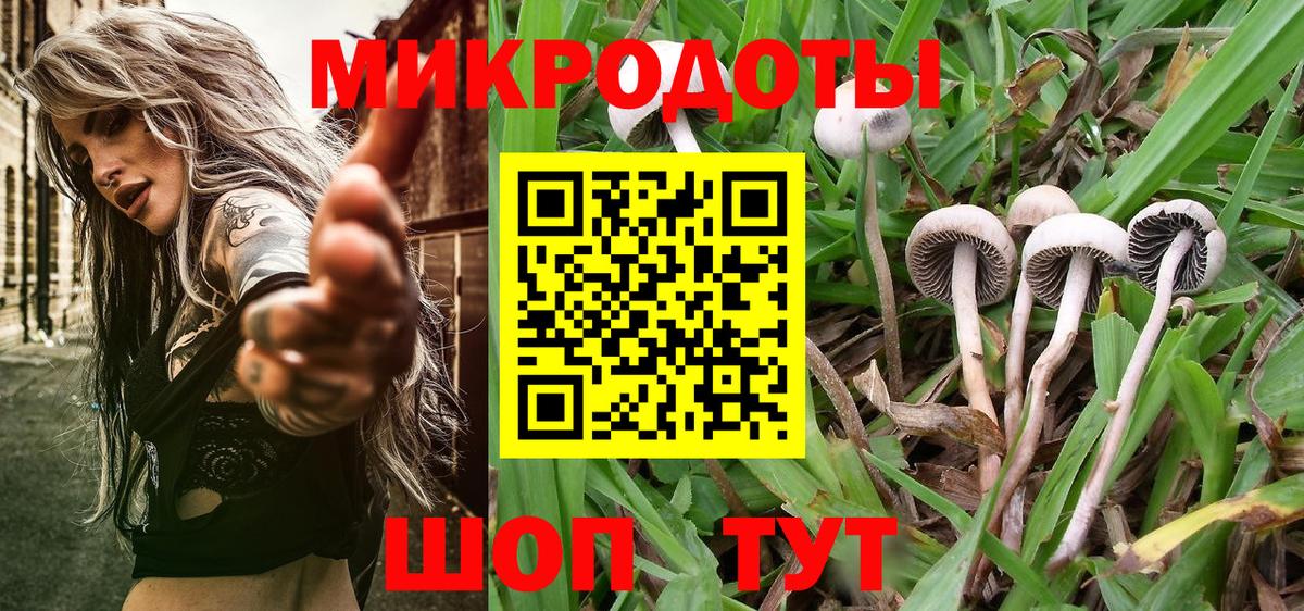 Волгоград  Галлюциногенные грибы Magic Shrooms  где купить наркотик  Вход с VPN 