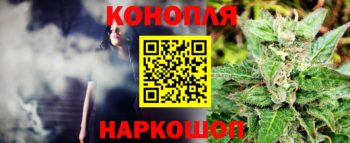 Бошки марихуана сатива Волгоград